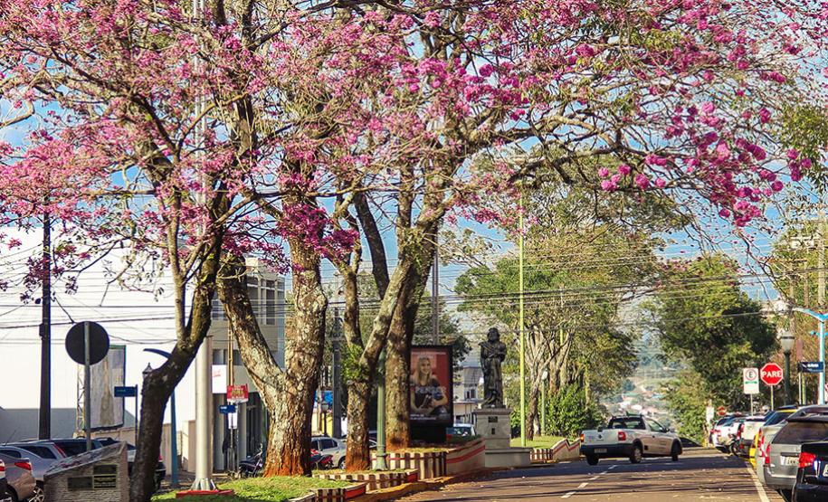 Avenida Tiradentes