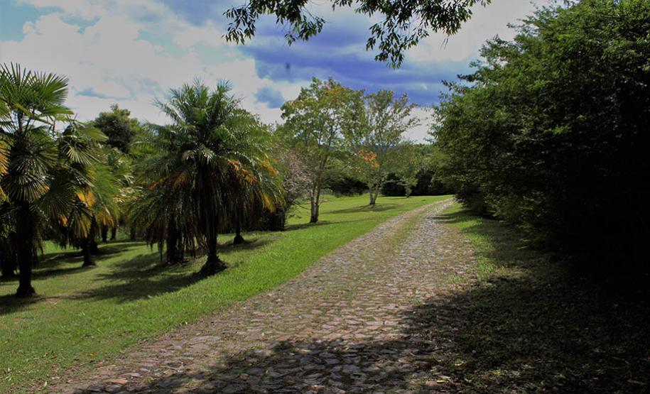 Horto Florestal da Vila Copel