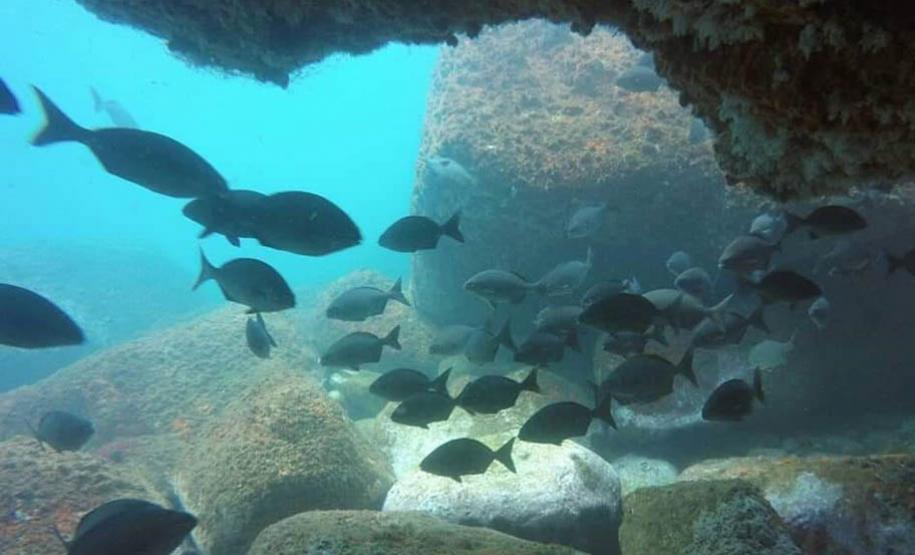Parque Nacional Marinho das Ilhas dos Currais