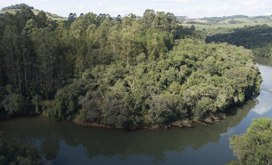 Ilha Grande - Rio Santana