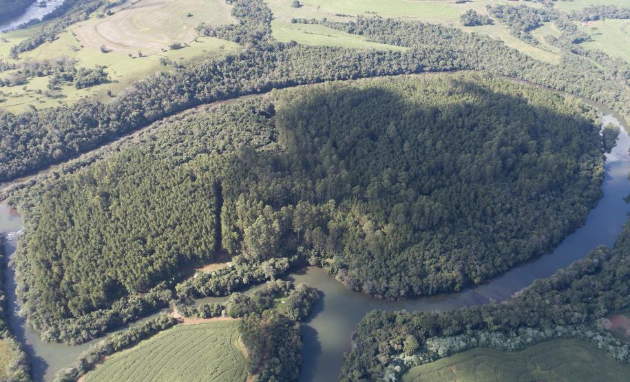Ilha Grande - Rio Santana