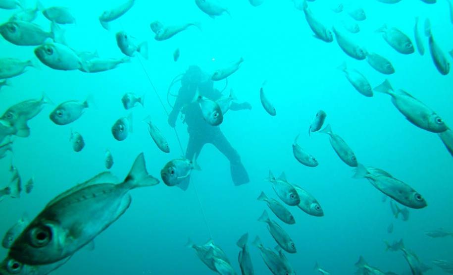Parque Nacional Marinho das Ilhas dos Currais
