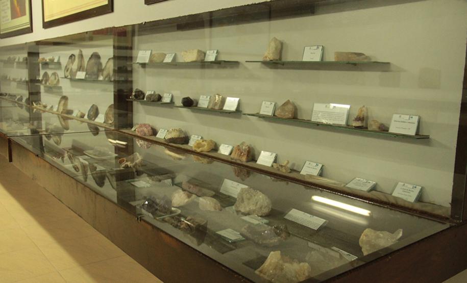 Museu de Ciências Naturais de Guarapuava