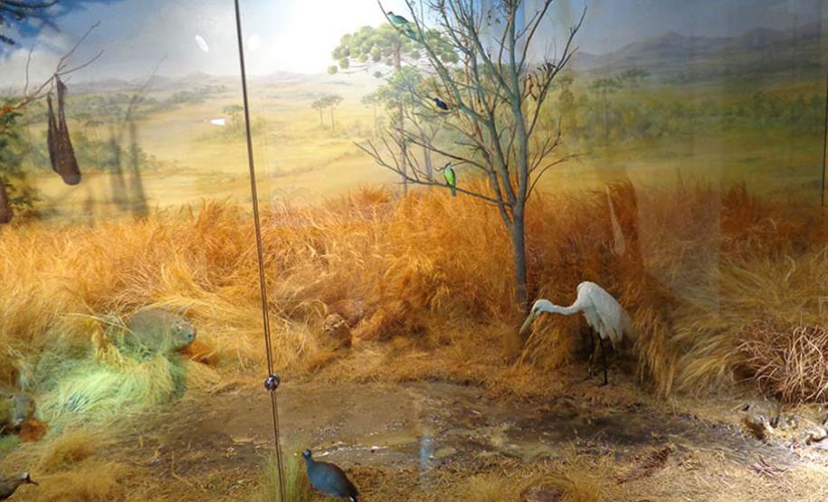 Museu Regional do Iguaçu