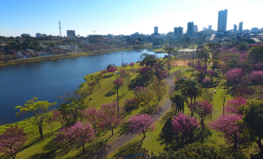 Parque do Lago