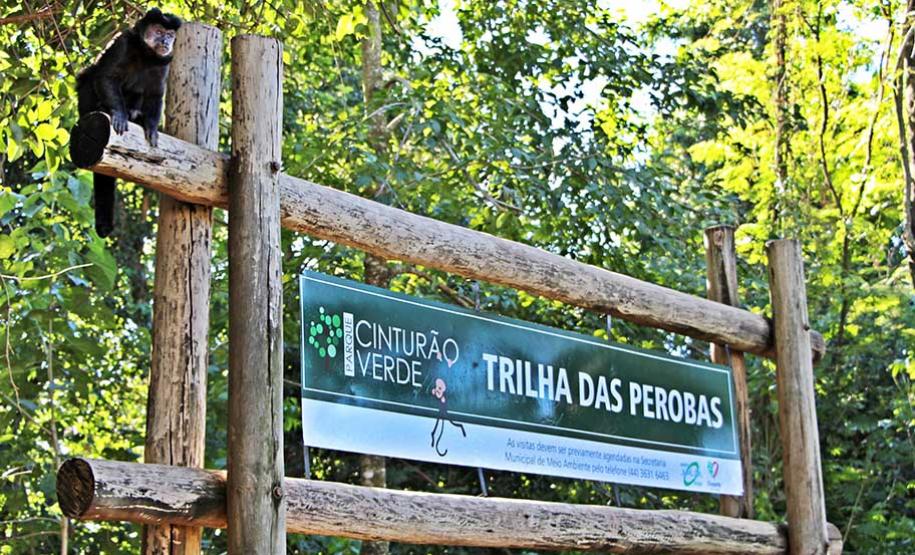 Trilha das Perobas