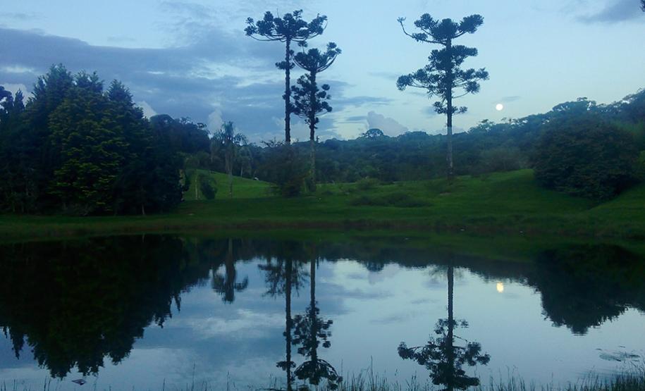 Faxinal do Céu