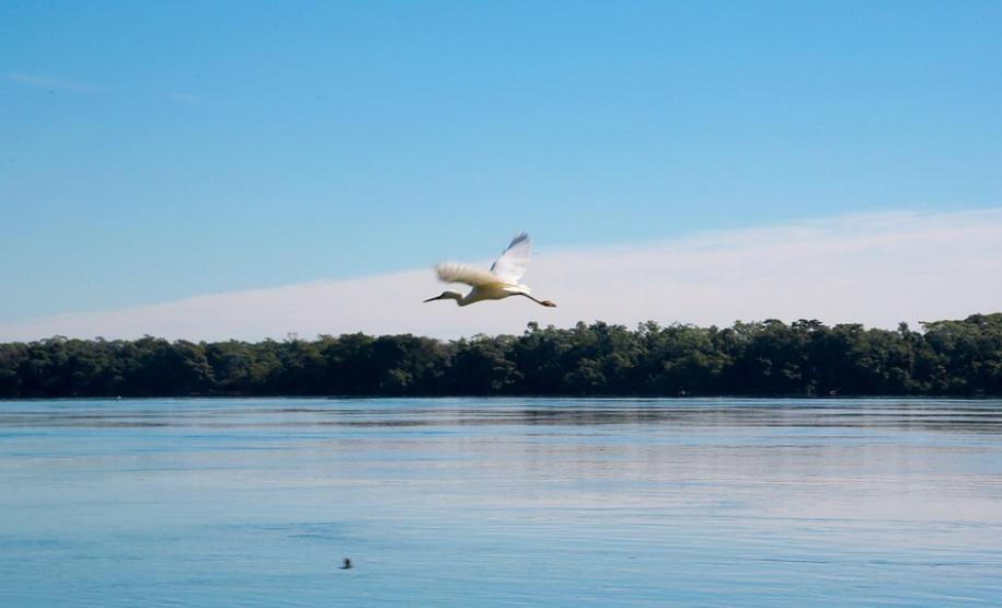 Litoral interno tem mil quilômetros de praias de água doce