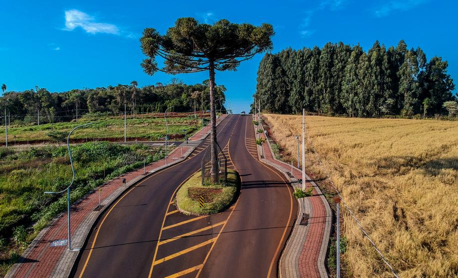 Pinheiro do Tocantins