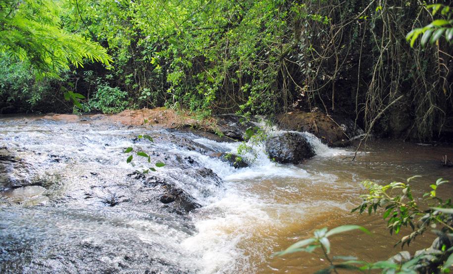 Roteiro Água Branca