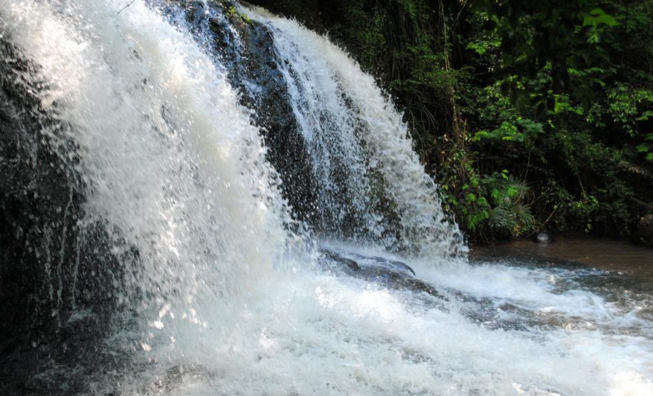Roteiro Água Branca