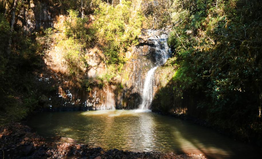 Caminhada Internacional na Natureza