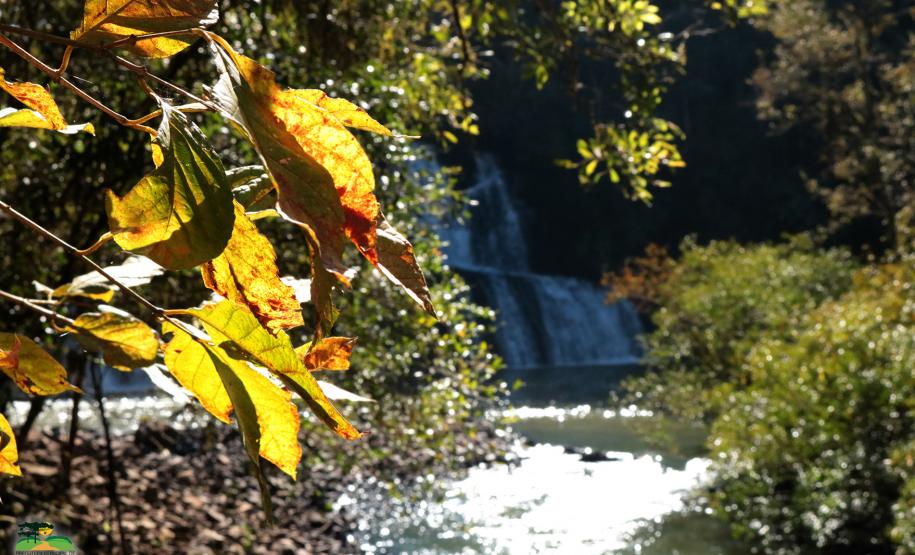 Caminhada Internacional na Natureza