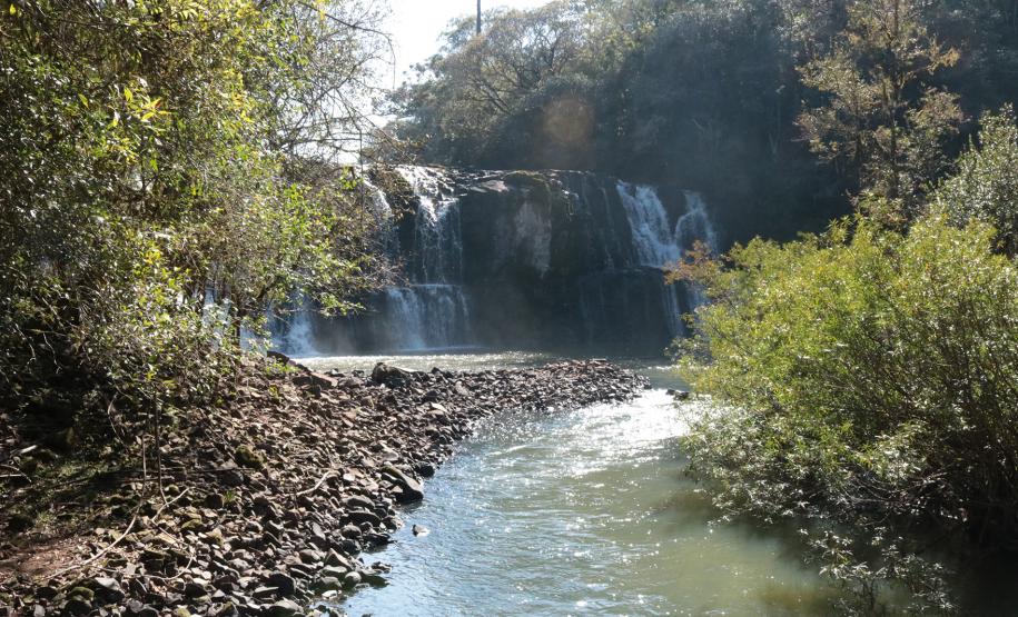 Caminhada Internacional na Natureza