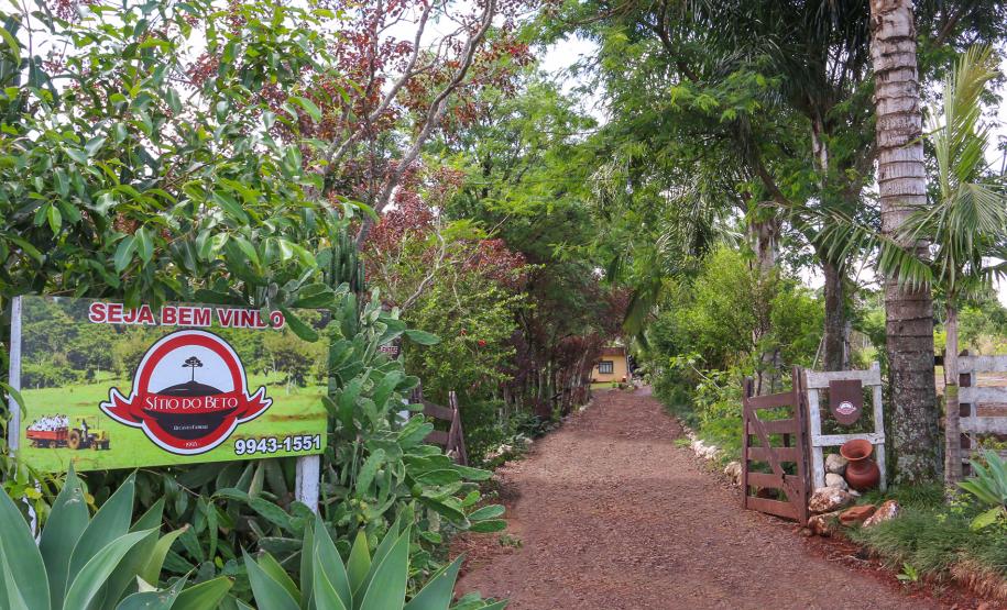 Portal do Sítio do Beto