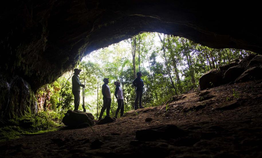 Caverna do Tigre