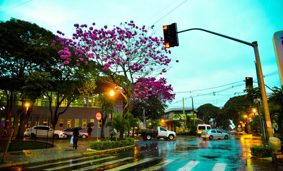 Cruzamento na Cidade