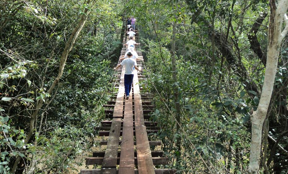 Pinguela - Recanto Olivo