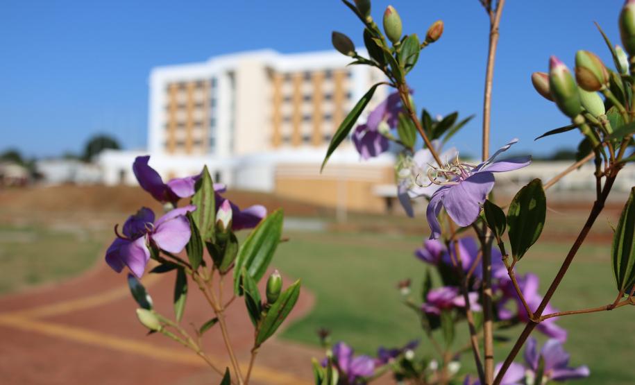 Paço Municipal José Della Pasqua