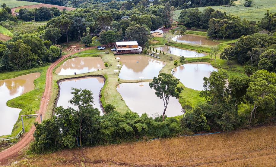 Pesqueiro Nossa Senhora Aparecida