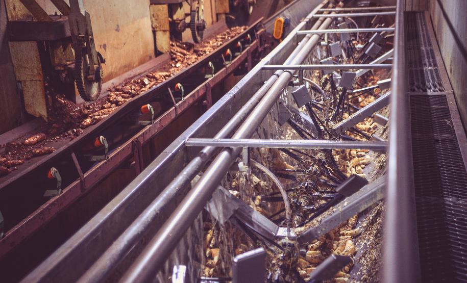 Produção Industrial - Mandioca e Fécula