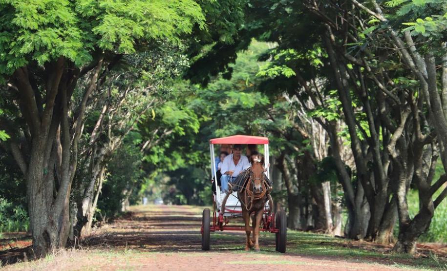 Turismo rural conquista viajantes em diversas regiões do Estado