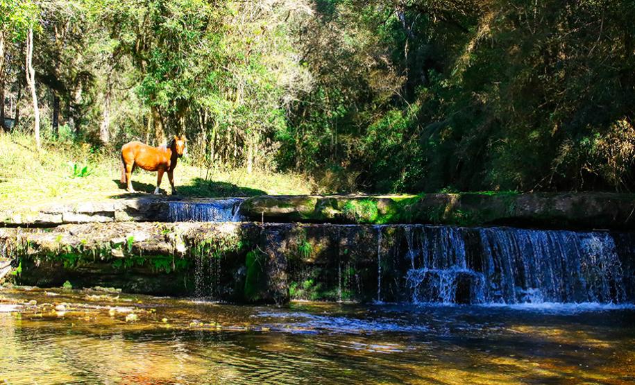 Cachoeira