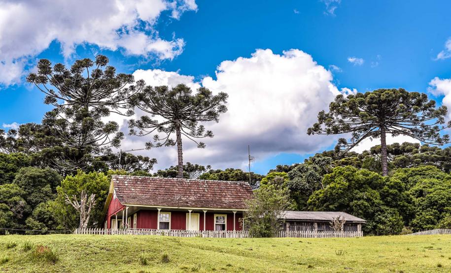 São João do Triunfo