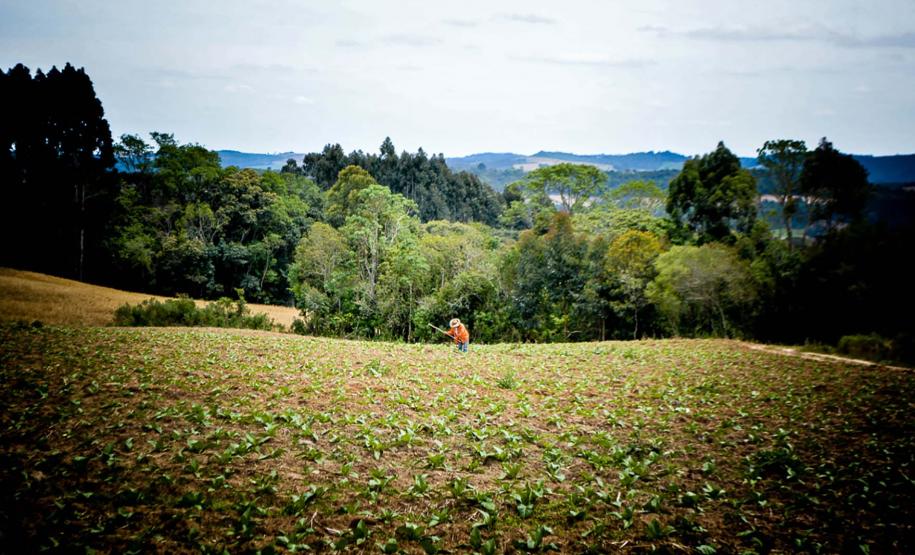 São João do Triunfo
