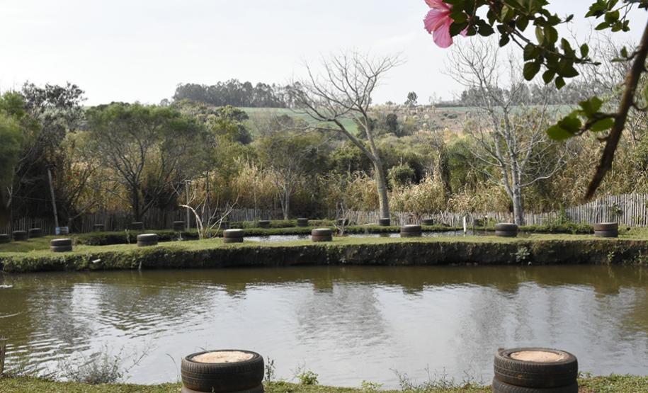 Pesque e Pague Cigano