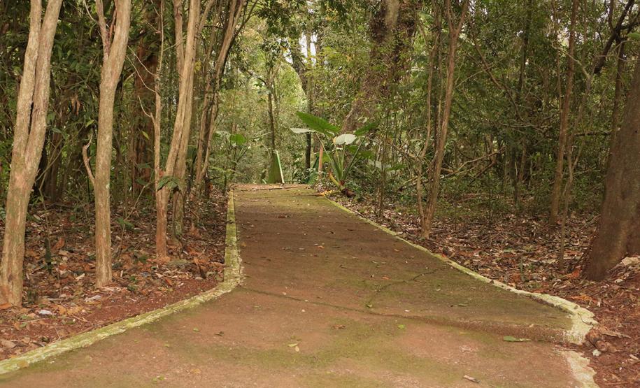 Gruta Nossa Senhora de Lourdes