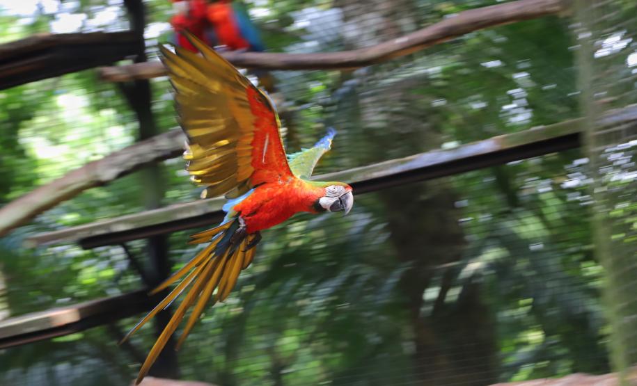 Atrações turísticas de Foz já atraíram 33,6 mil pessoas em 2021.