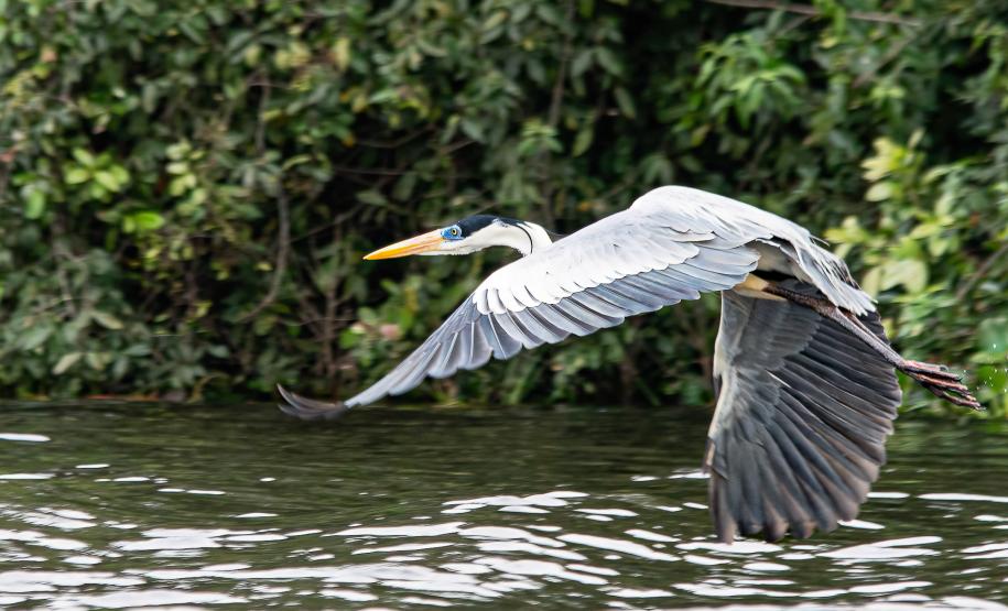 Foto: Diretoria de Comunicação e Imprensa Guaíra/PR