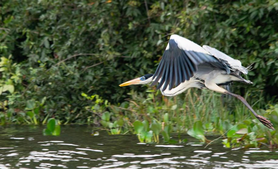Foto: Diretoria de Comunicação e Imprensa Guaíra/PR