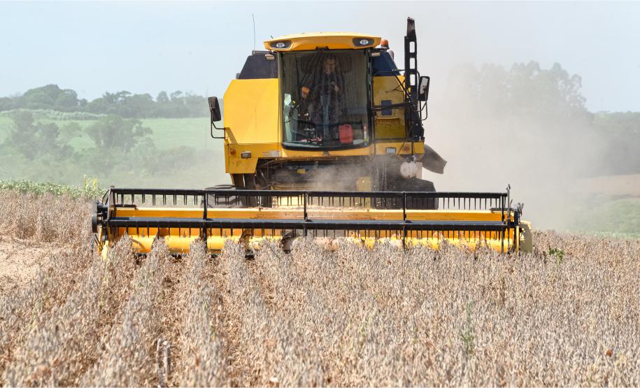 Foto: Diretoria de Comunicação e Imprensa Guaíra/PR