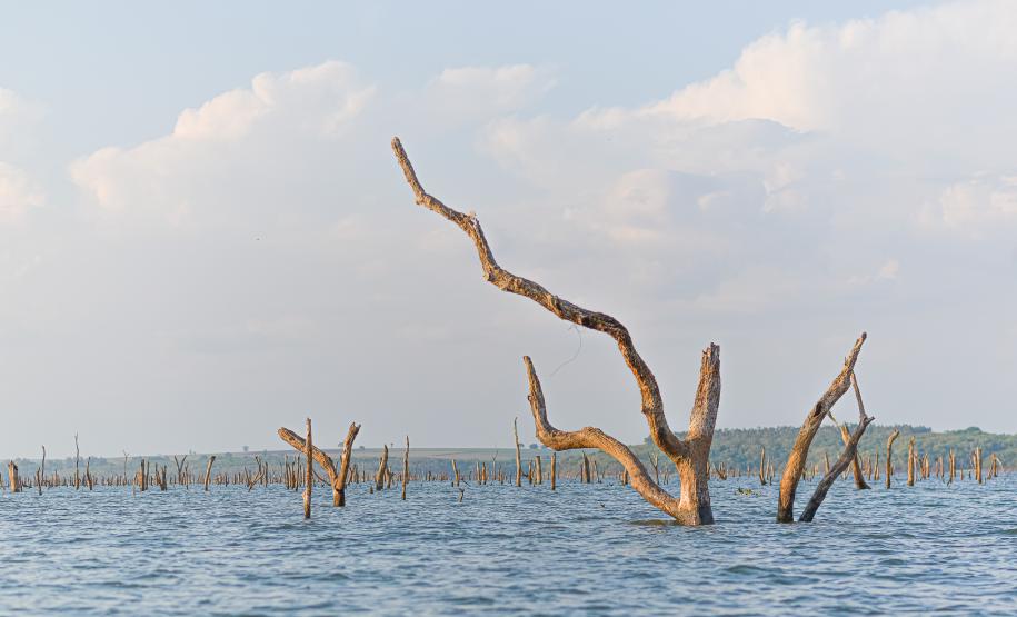Foto: Diretoria de Comunicação e Imprensa Guaíra/PR