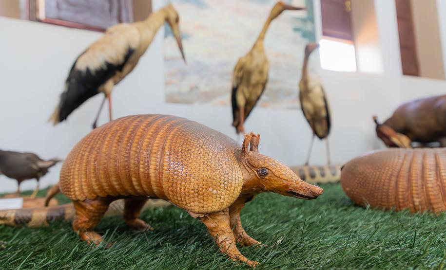 Foto: Diretoria de Comunicação e Imprensa Guaíra/PR