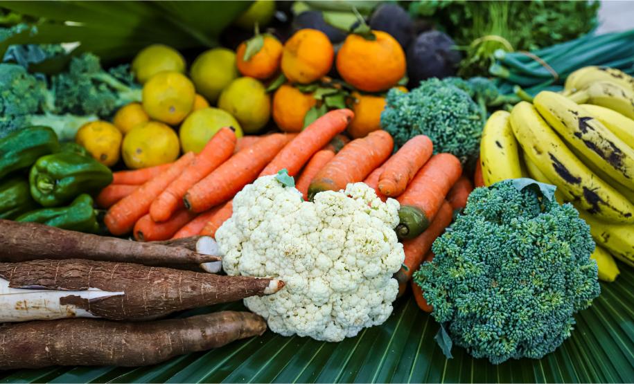 Foto: Diretoria de Comunicação e Imprensa Guaíra/PR