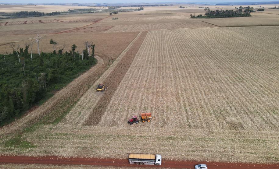 Foto: Diretoria de Comunicação e Imprensa Guaíra/PR