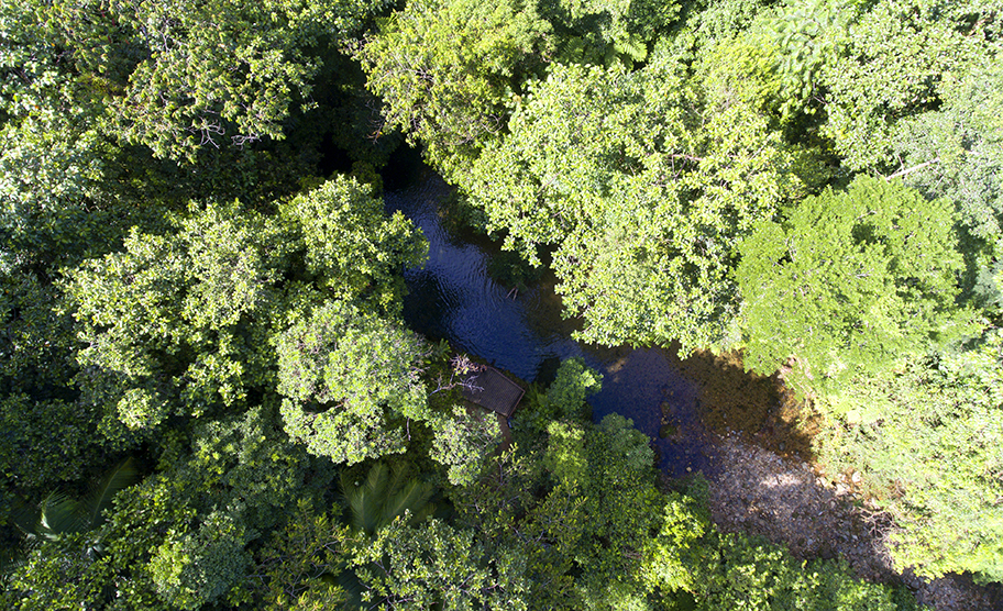 Reserva Salto Morato