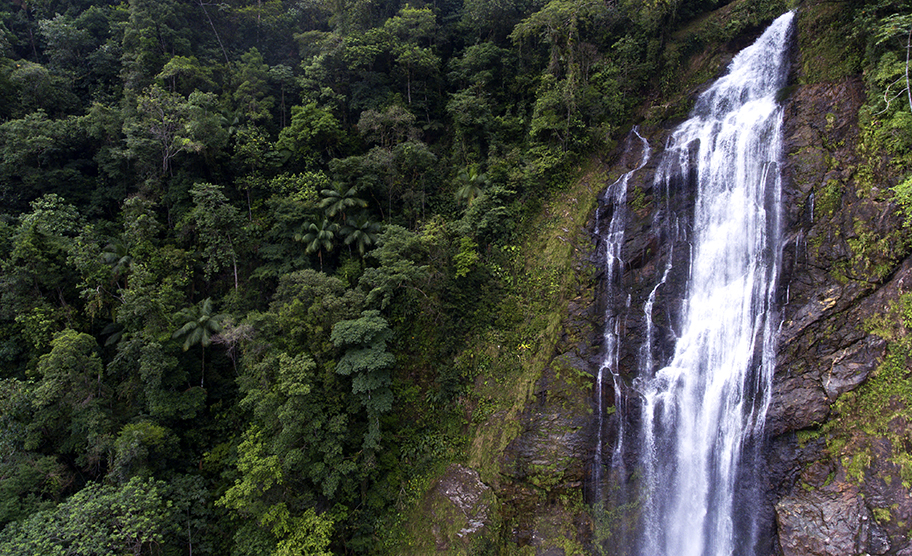 Reserva Salto Morato