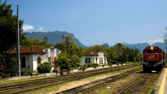 Passeio de Trem