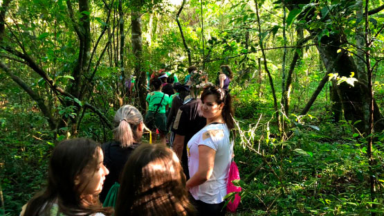 Caminhada da Natureza