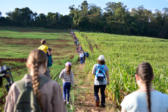 Caminhada Ecológica de Rolândia