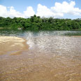 Praia da Ilha de Guadalupe