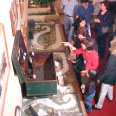 Museu Histórico