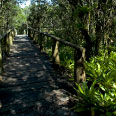 Parque Estadual Rio da Onça