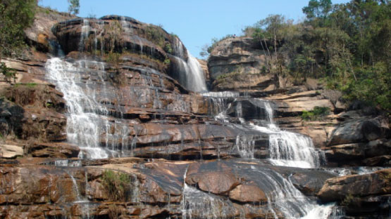 Parque Estadual do Cerrado