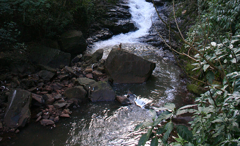 Parque Arthur Thomas