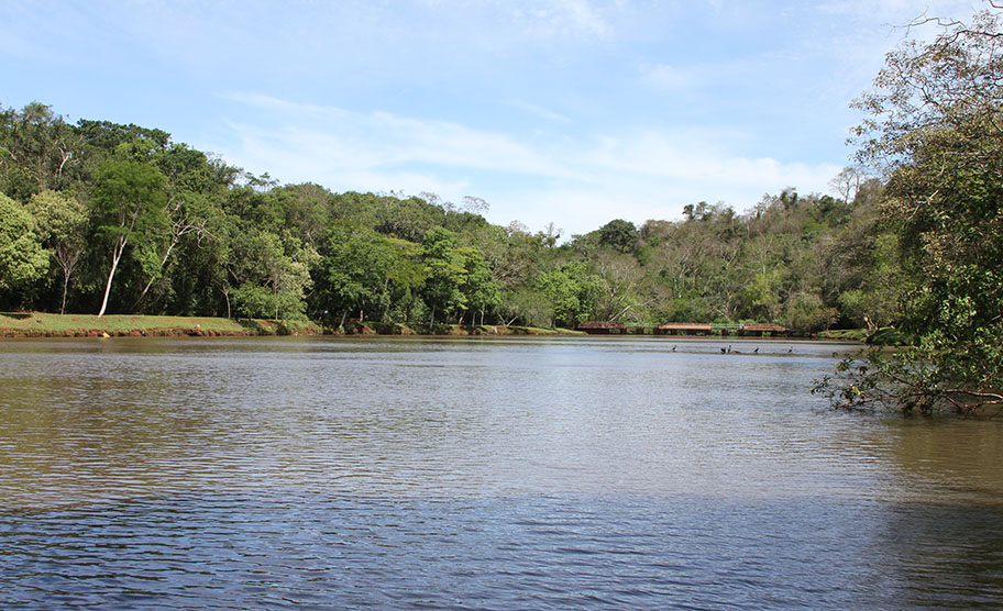 Parque Arthur Thomas